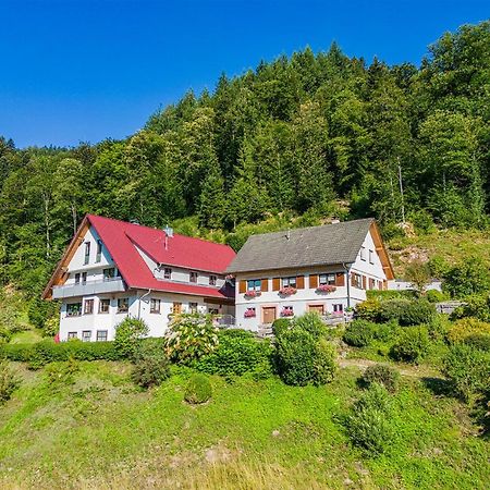 Haus Niedermaettle Διαμέρισμα Oppenau Εξωτερικό φωτογραφία