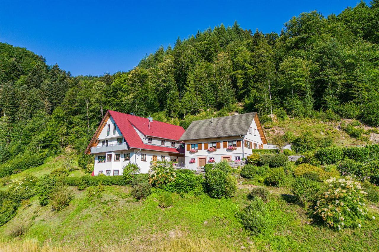 Haus Niedermaettle Διαμέρισμα Oppenau Εξωτερικό φωτογραφία