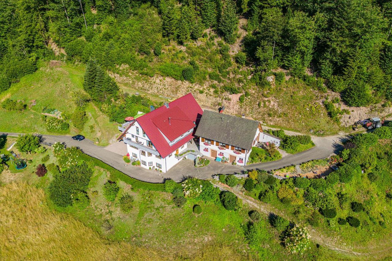 Haus Niedermaettle Διαμέρισμα Oppenau Εξωτερικό φωτογραφία